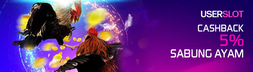 Cashback Mingguan Sabung Ayam
